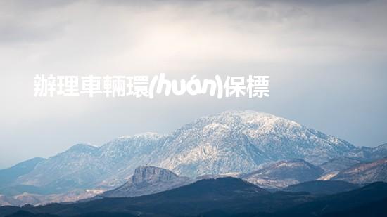辦理車輛環(huán)保標(biāo)，全攻略！